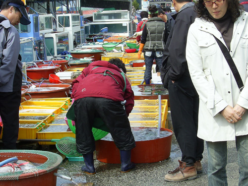 주꾸미를 구경하는 사람들 